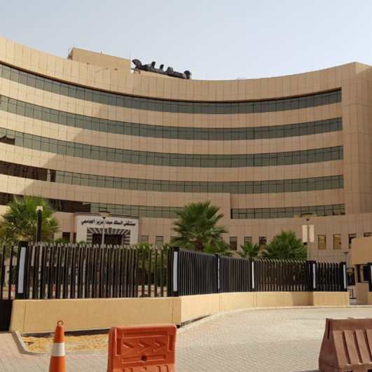 King Abdulaziz University